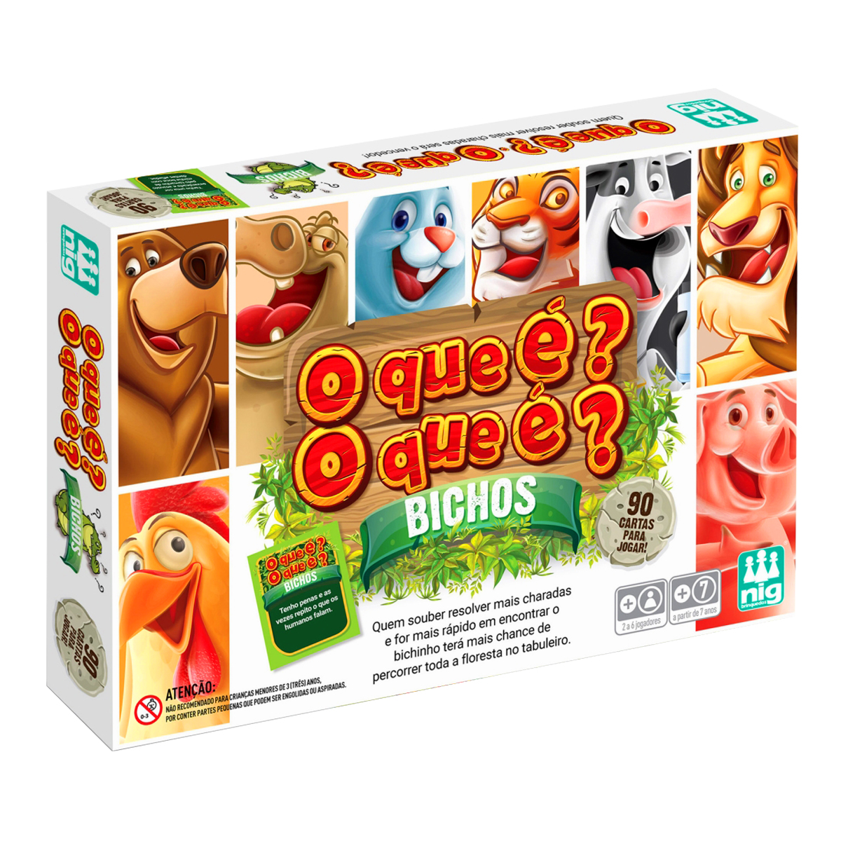 15552461523-caixa-o-que-e-bichos.jpg